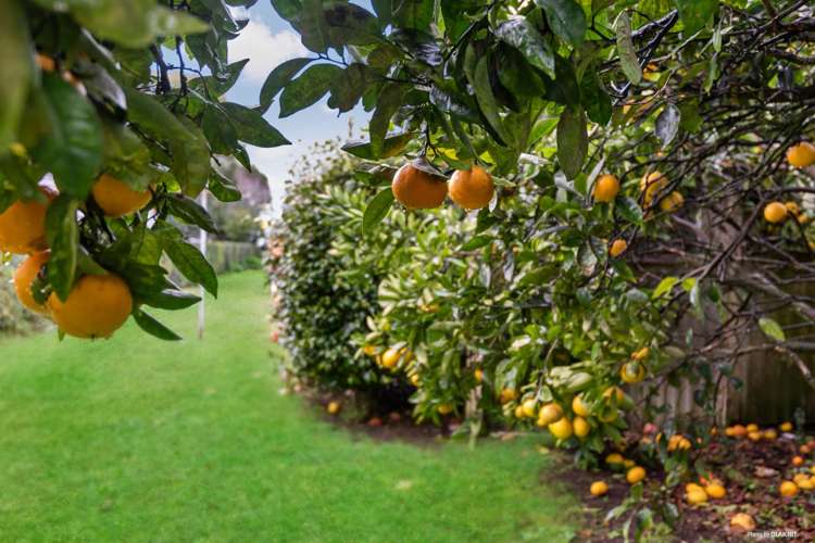 172 Lincoln Road Henderson_16