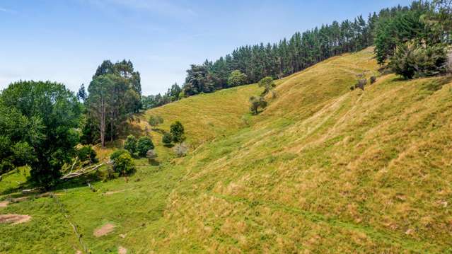 Tangahoe Valley Road Ohangai_3