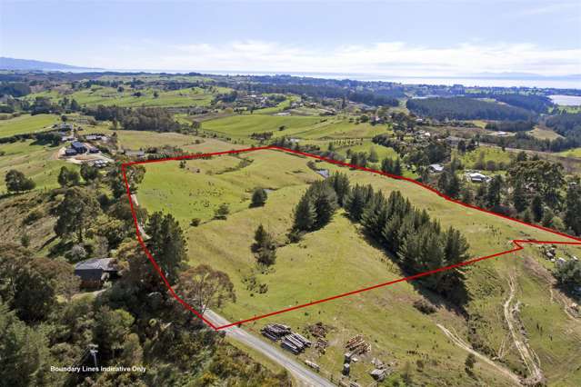 40 Carlyon Road Mahana_2