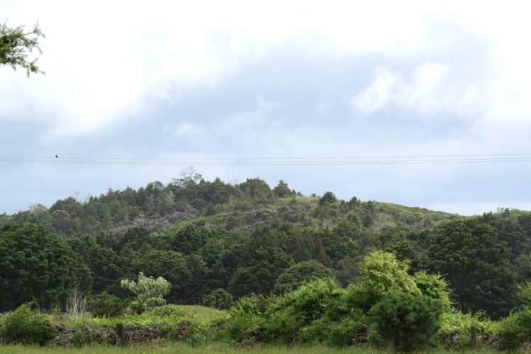 6220 Mangakahia Road_5