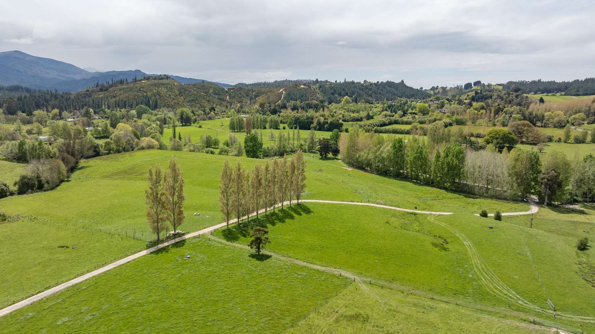 98 Thorpe-Orinoco Road Ngatimoti_0