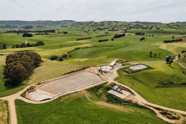 Well-Developed Summer-Safe Dairy Unit