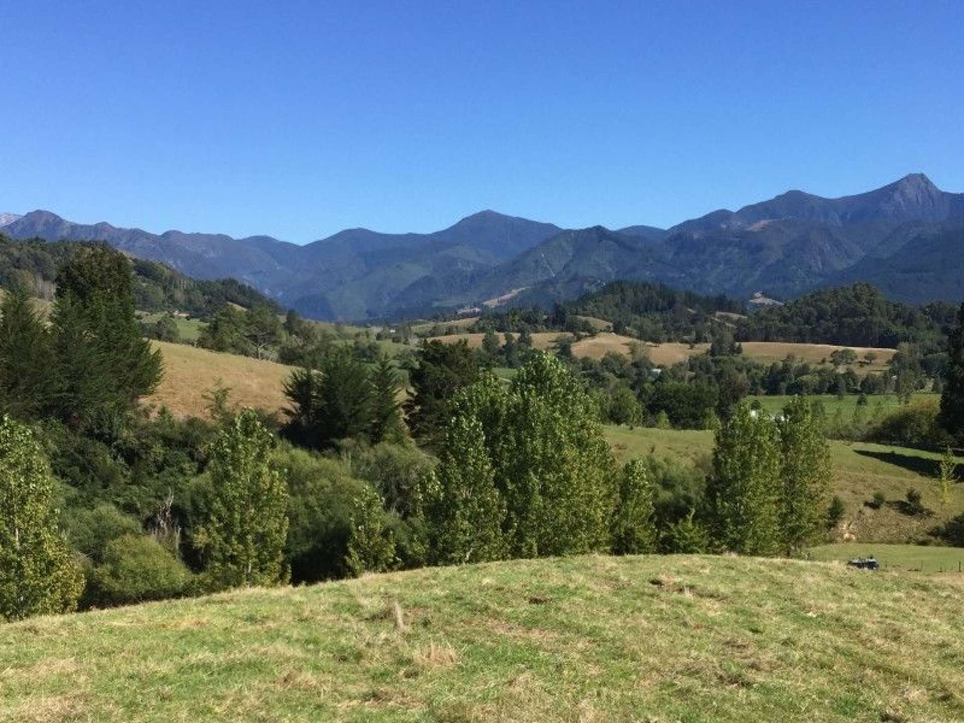 35 Thorpe-Orinoco Road Ngatimoti_0