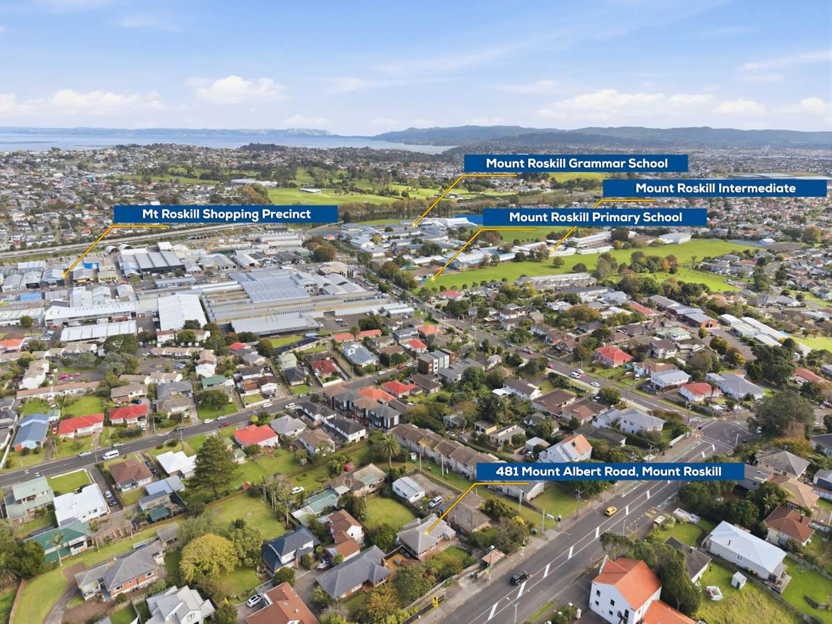 481 Mount Albert Road_2