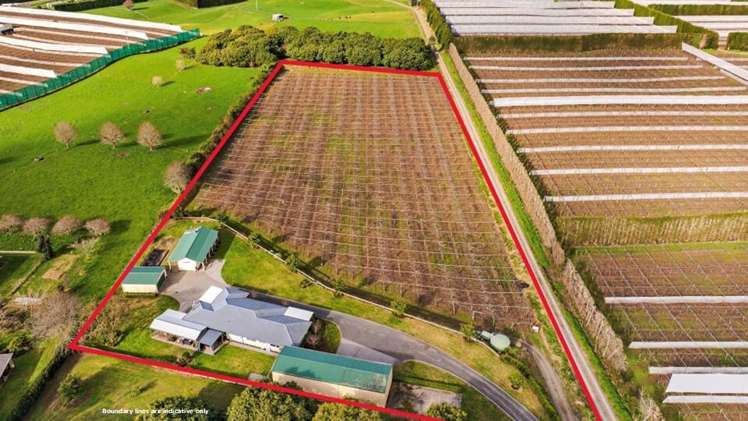 56 Conway Road Paengaroa_16
