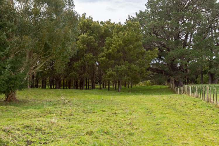 960 Norfolk Road Carterton_15