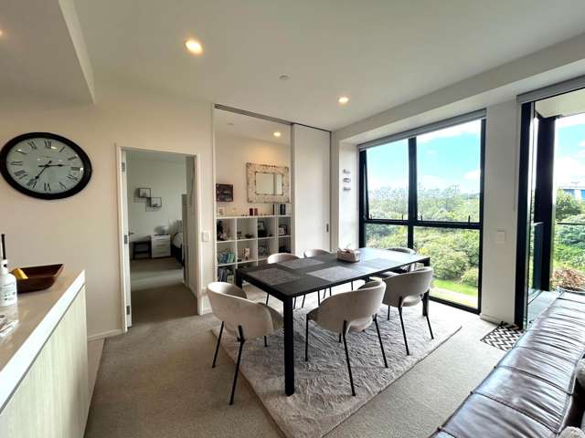 College Road Stonefields_1