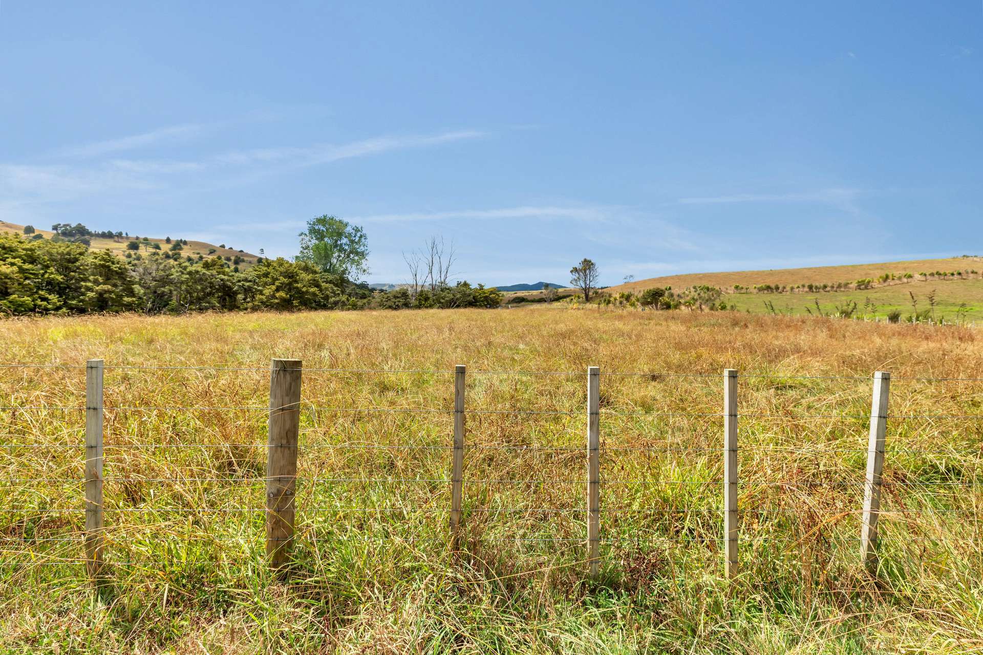 659 West Coast Road Makarau_0