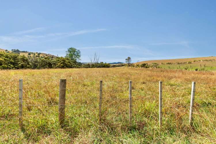 659 West Coast Road Makarau_1