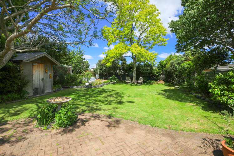 205 Heale Street Thames_15