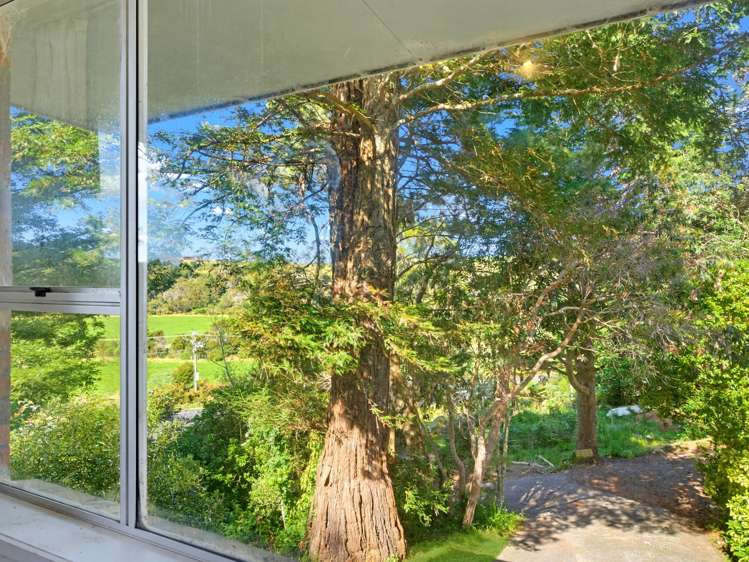 406 Main Road Tairua_17