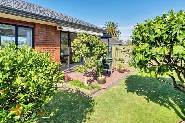 394b Mount Albert Road Mount Roskill_4