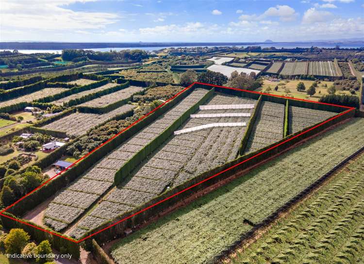 25 Crosby Lane Hauraki Surrounds_0