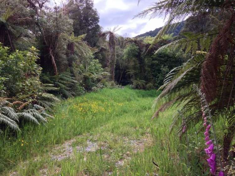 7 Punga Grove Lake Kaniere_4