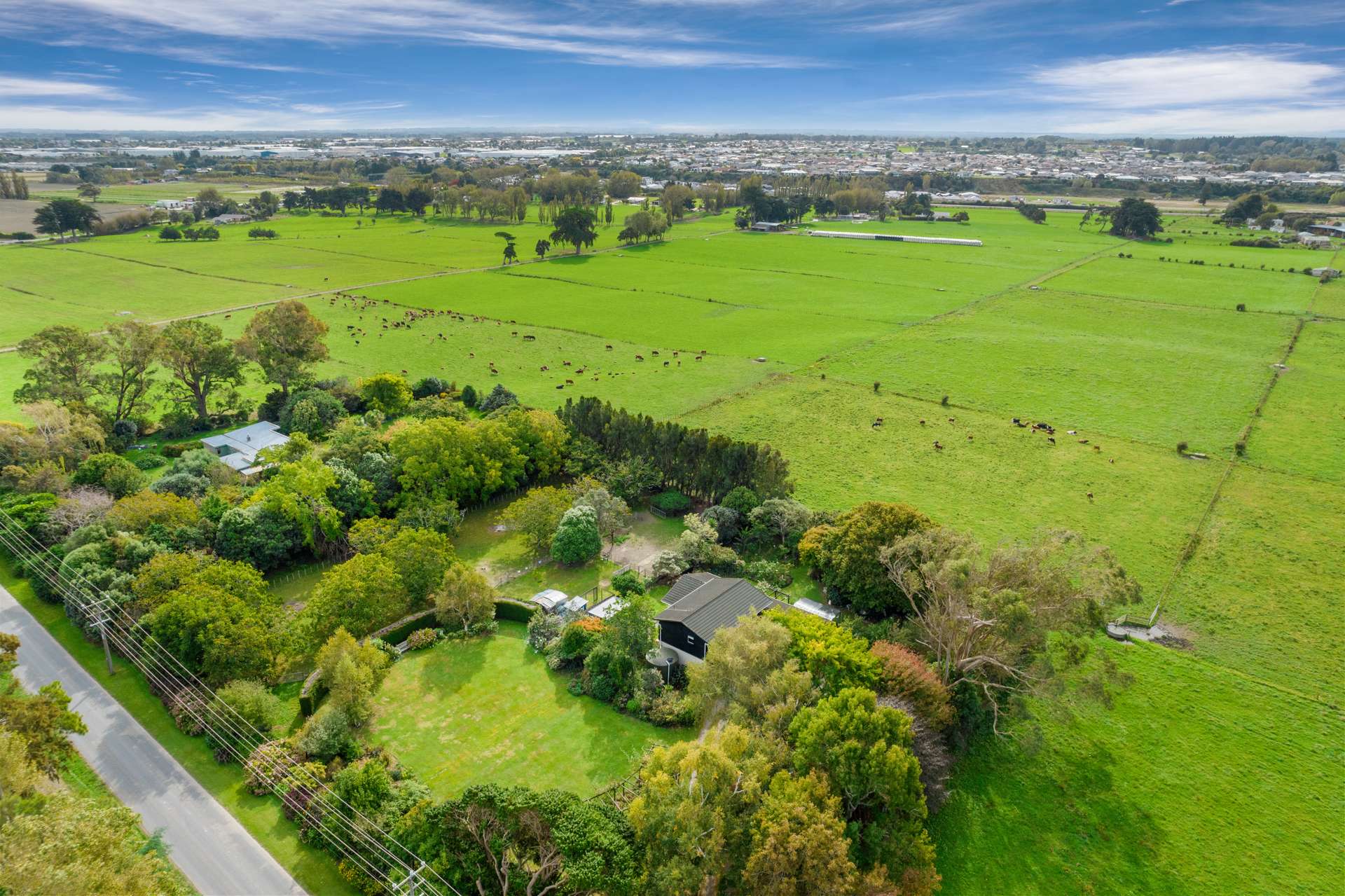 107 Te Matai Road Whakarongo_0