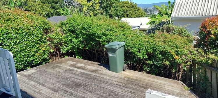 3/14 Chalmers Street 10016_9