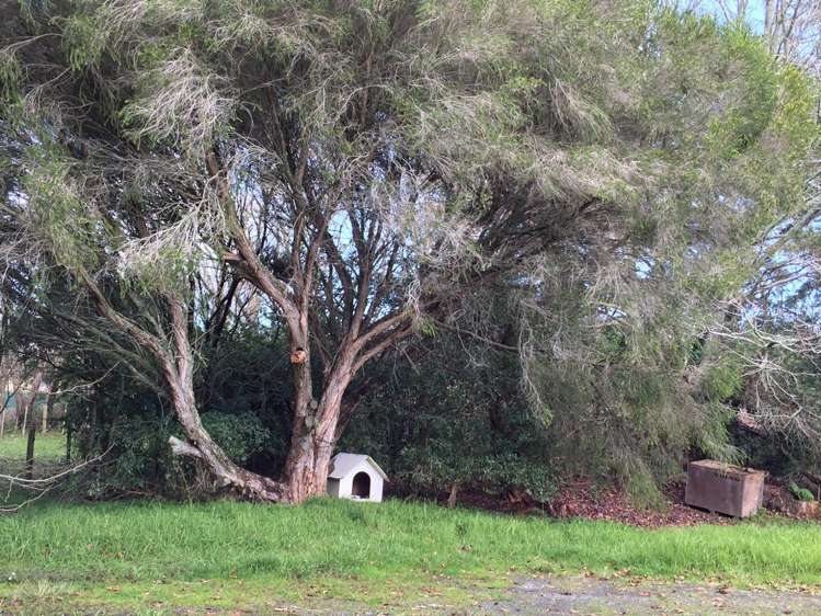 990 Highway 22 Pukekawa_13