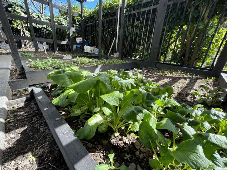 26 Brian Keogh Lane Wigram_11