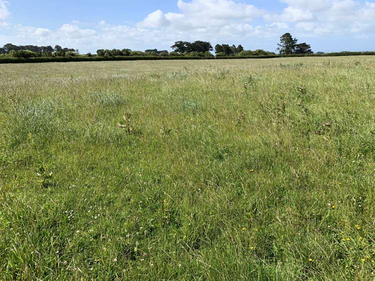 2372 Opunake Road Awatuna_14