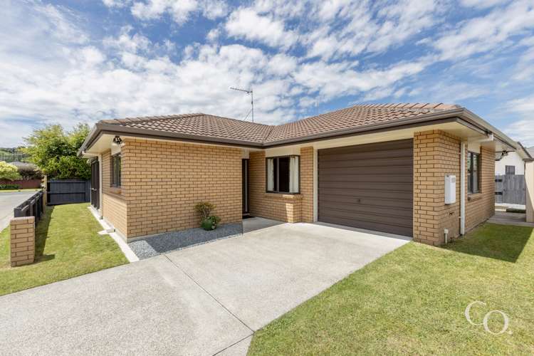 37 Solomon Street Brookfield_28