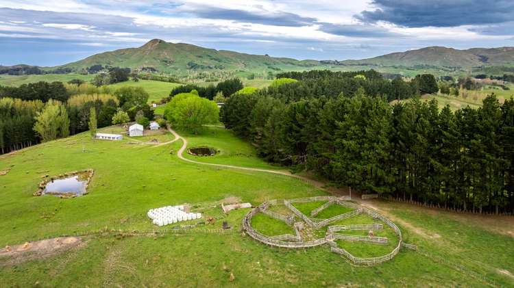 139 Clareinch Road Omakere_17