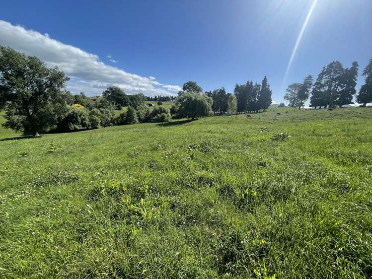 2/350 Otorohanga Road Te Awamutu_3