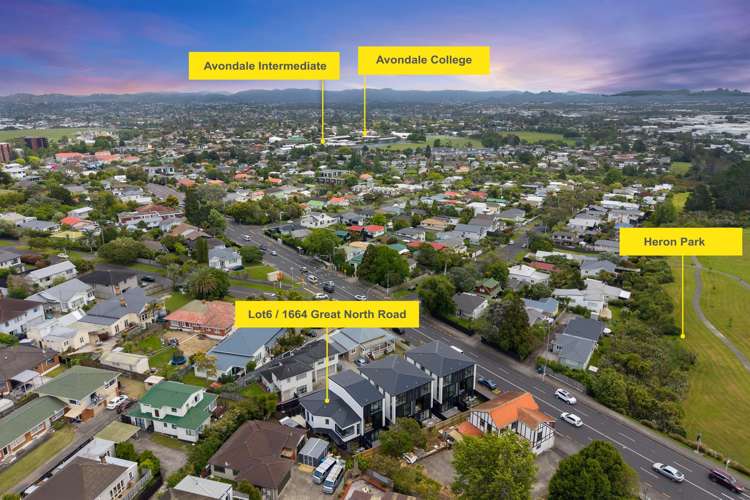 1664F Great North Road Avondale_19