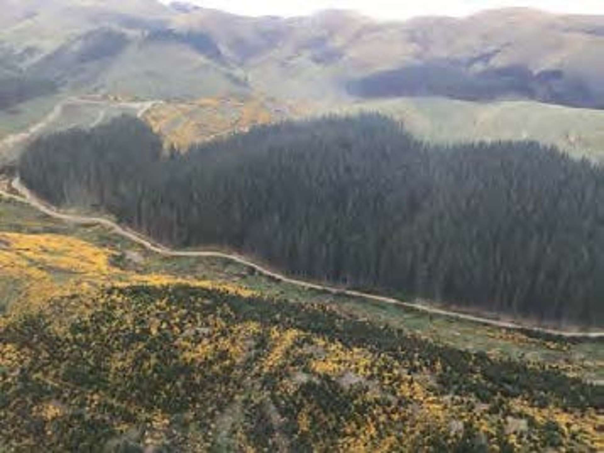 Switchback Road Glenpark_0