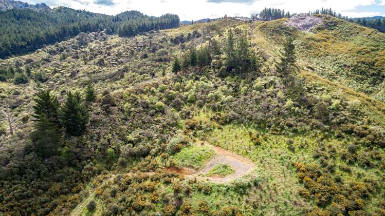 270 Kaimarama Road Kaimarama_16