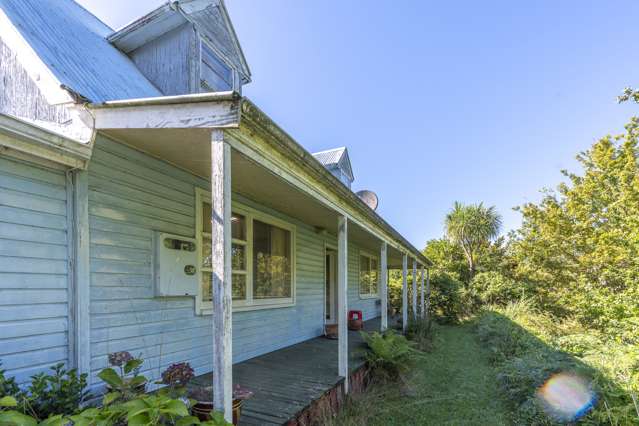 Blue Bargain in Glen Massey