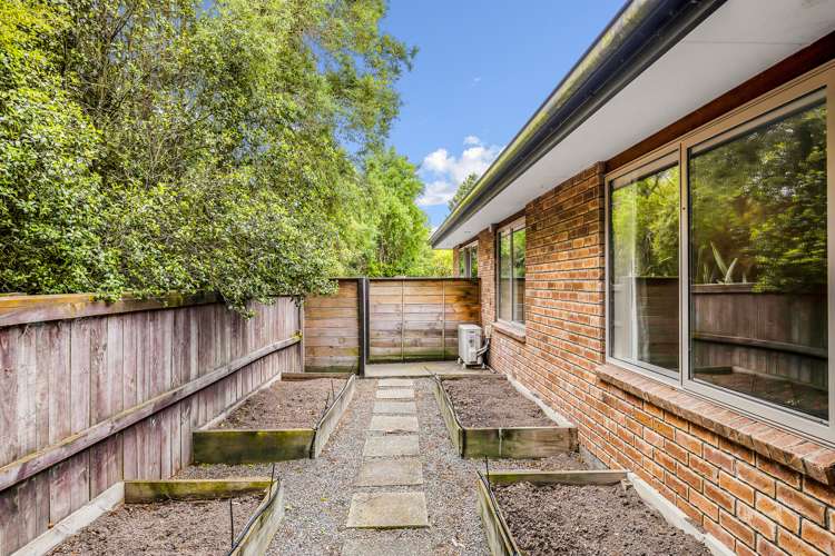 19a/548 Williams Street Kaiapoi_12