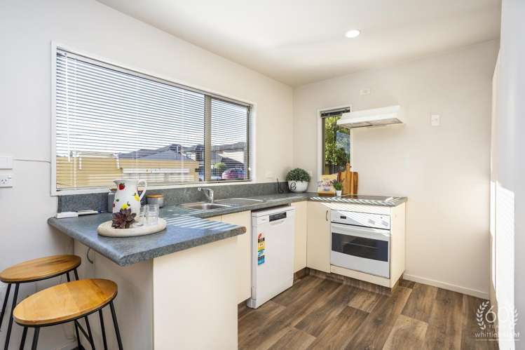1/19 George Street Riccarton_6