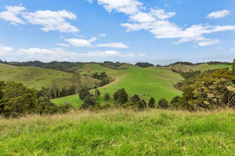 450 Kaiikanui Road Hukerenui and Surrounds_5