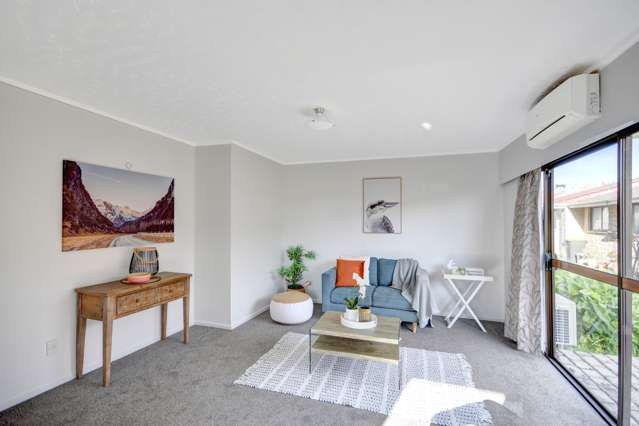 90d Reid Road South Dunedin_4