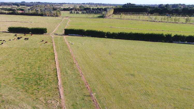 5 Kennington Roslyn Bush Road Mill Road_16