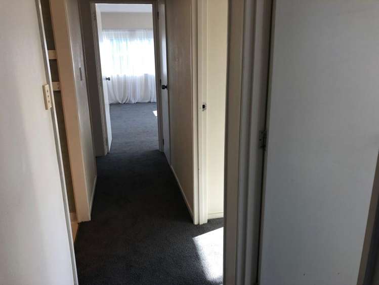 137B Eversham Road 11229_9