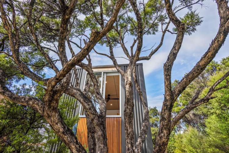 3 Bush Point Road Kerikeri_22