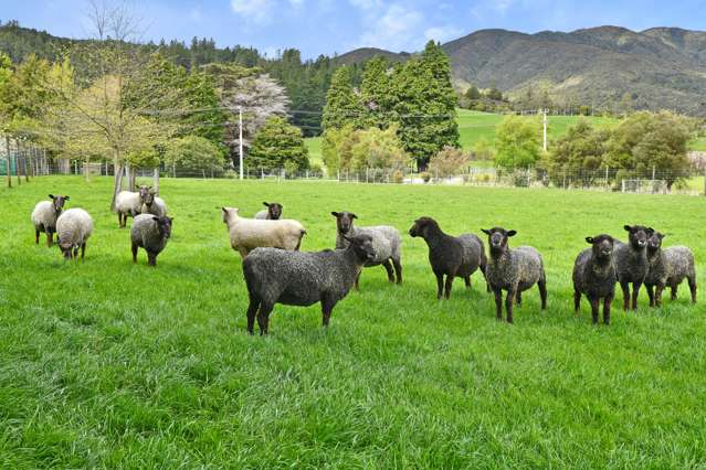 235 Marchant Road Kaitoke_4