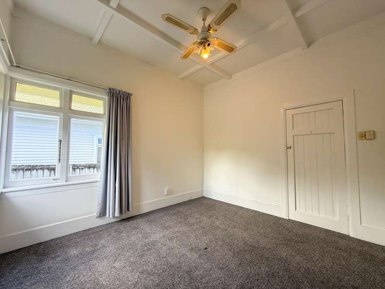 259 Campbell Road Greenlane_6