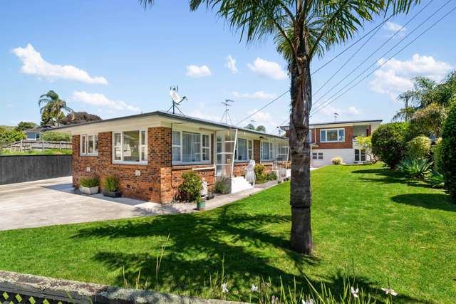 4 Rawalpindi Street Mt Albert_1