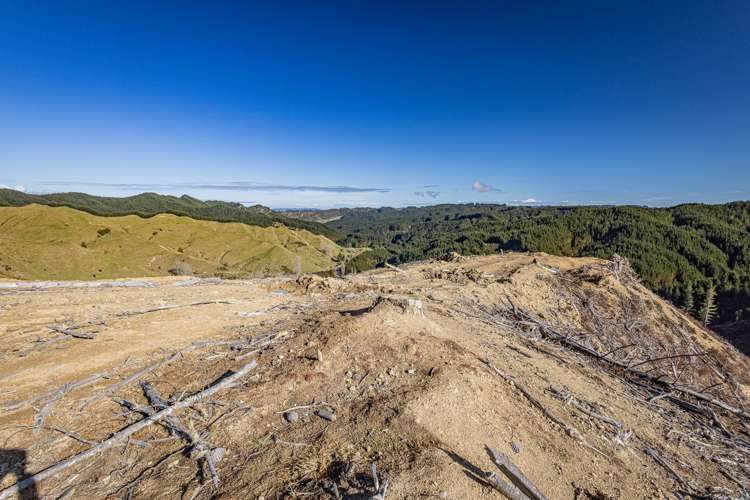 Lot 1 Oio Road Owhango_1