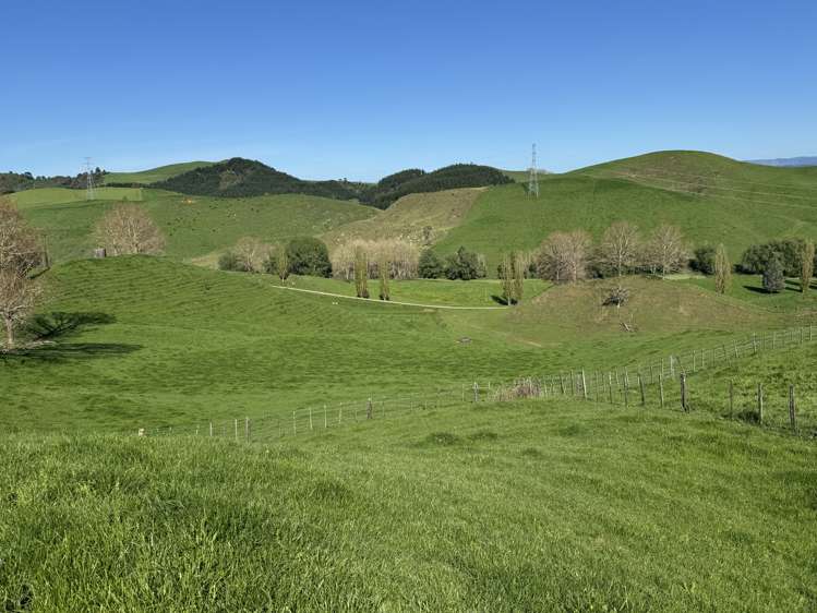 161 Veale Road Otorohanga_24