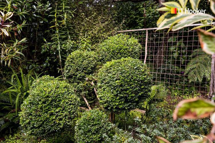 5 Broomlea Street Wakari_21