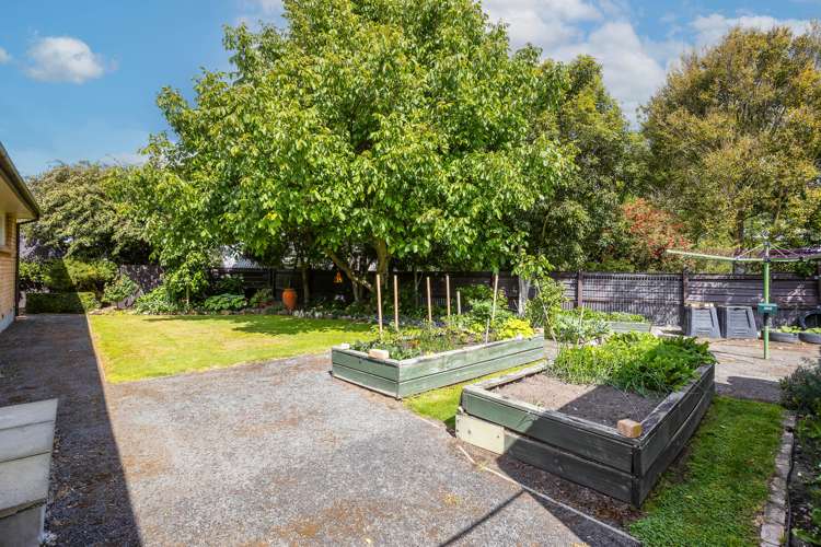 4 Leithfield Road Leithfield_18