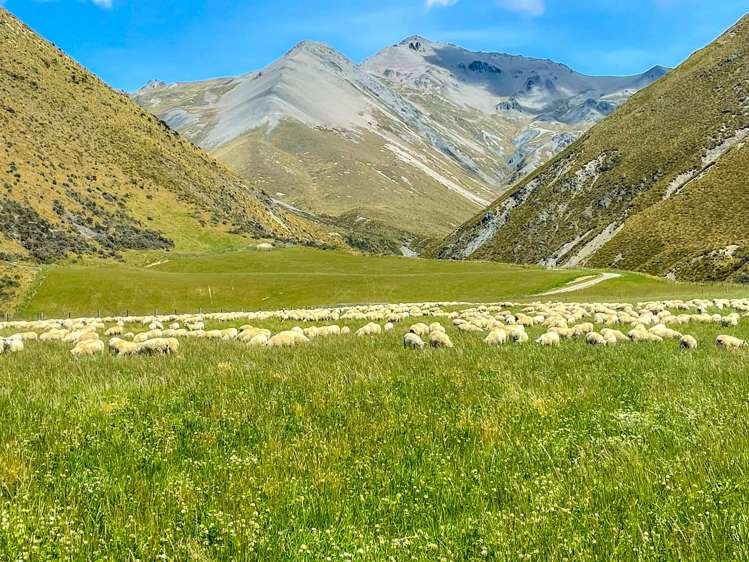 1551 Double Hill Run Road Rakaia Gorge_46
