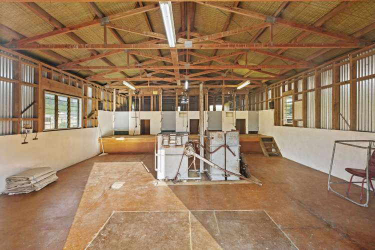 Mangatea Road Te Kuiti_15