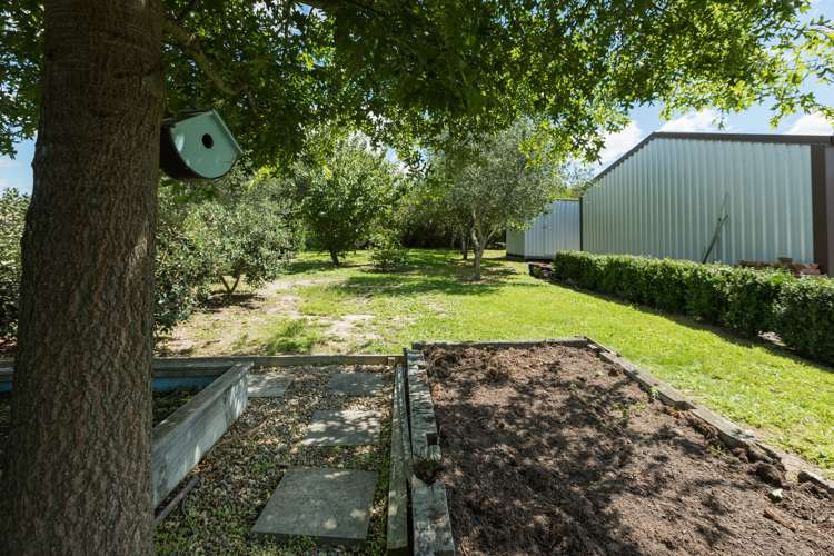 78f White Road Otane_16