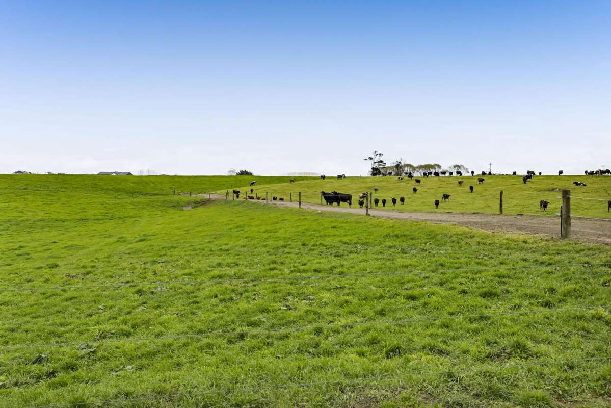 0n Ngarongo Road_5