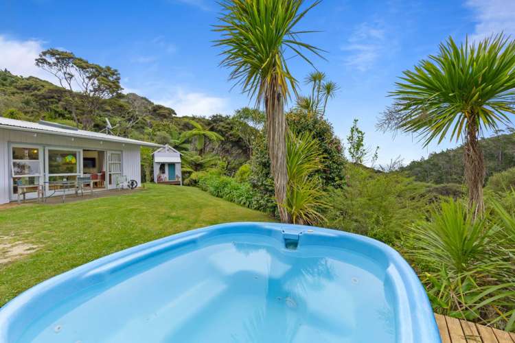 90 Lone Kauri Road Karekare_13