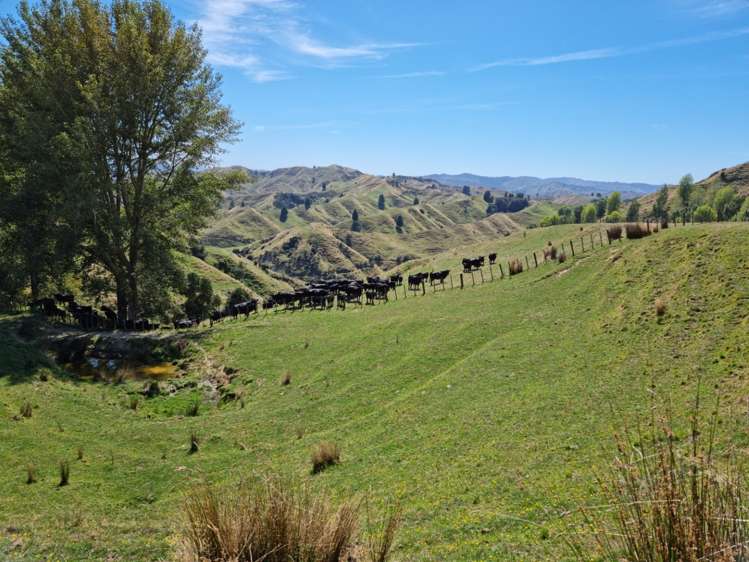 3779 Whanganui River Road (State Highway 43) Ruapehu-King Country Surrounds_8